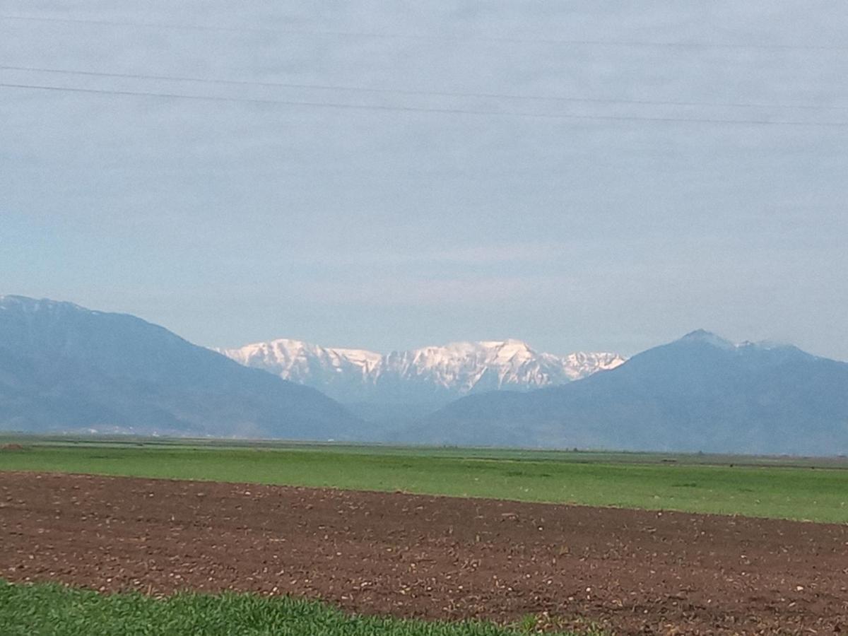 Vila Sol Prejmer Εξωτερικό φωτογραφία